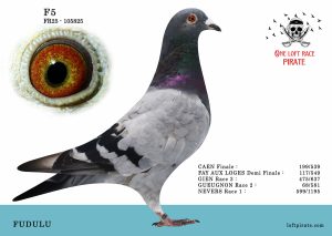 N° 16 : FR-2025-105825 F – FUDULU