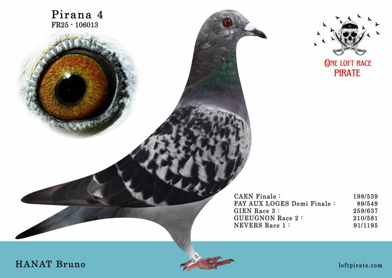 N° 17 : FR-2025-106013 F – HANAT Bruno