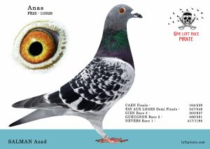 N° 18 : FR-2025-110528 F – SALMAN Azad