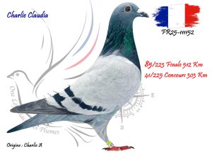 N° 85 : FR25-111152