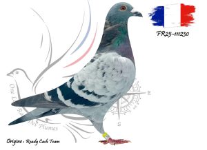 N° 109 : FR25-111230