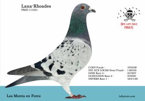 N° 19 : FR-2025-111241 M – Les Monta en Force