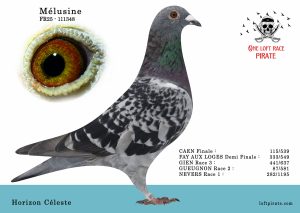 N° 19 : FR-2025-111348 F – Horizon Céleste