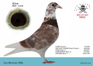 N° 18 : FR-2025-111849 F – Les Bretons GBL