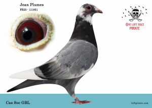 N° 20 : FR-2025-111851 M – Cas Soc GBL