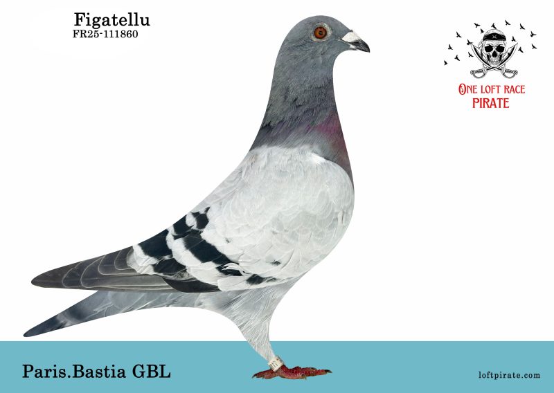 N° 21 : FR-2025-111860 M – PARIS.BASTIA GBL