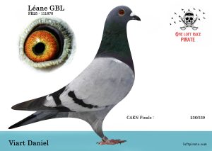 N° 19 : FR-2025-111870 F – VIART Daniel GBL