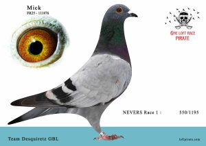 N° 22 : FR-2025-111876 F – Team Desquiretz GBL