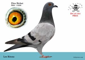 N° 22 : FR-2025-112226 F – Les Ritons