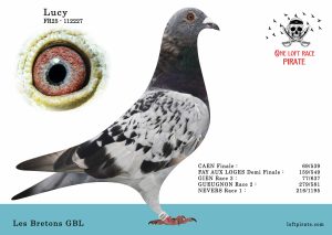 N° 23 : FR-2025-112227 F – Les Bretons GBL