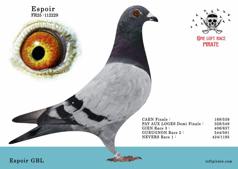 N° 24 : FR-2025-112229 F – Espoir GBL