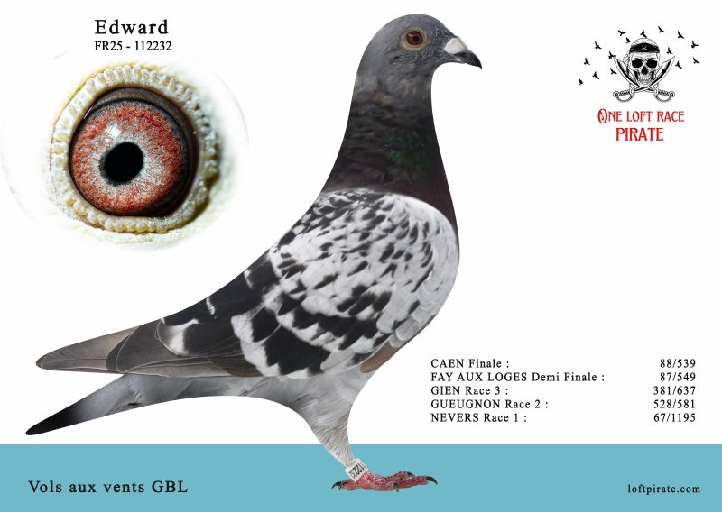 N° 25 : FR-2025-112232 F – Vols aux vents GBL