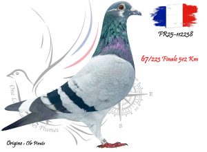 N° 67 : FR25-112238