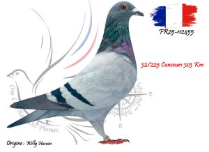 N° 112 : FR25-112455