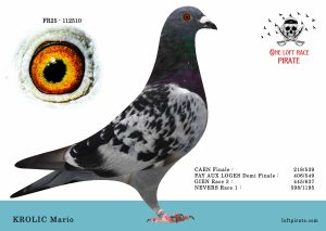 N° 27 : FR-2025-112510 F – KROLIC Mario