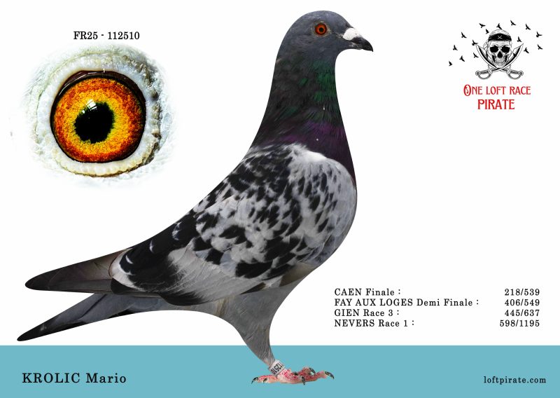 N° 27 : FR-2025-112510 F – KROLIC Mario