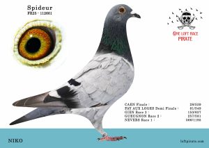 N° 28 : FR-2025-112661 F – NIKO