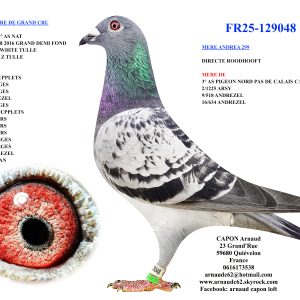 Fr25 129048