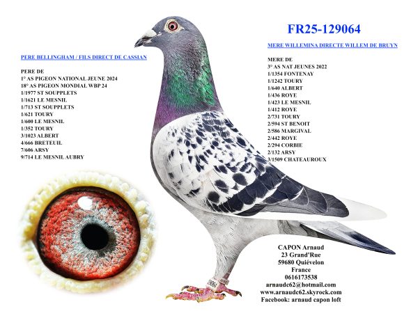 Fr25 129064