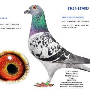 Fr25 129083