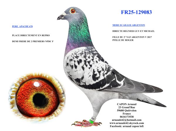 Fr25 129083