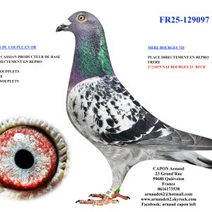 Fr25 129097