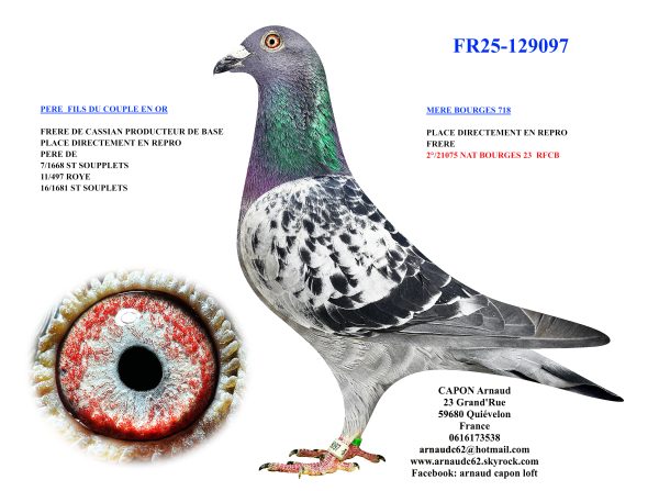 Fr25 129097
