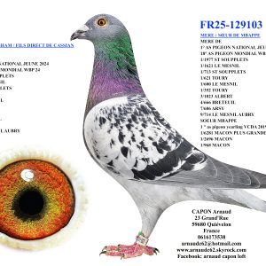 Fr25 129103
