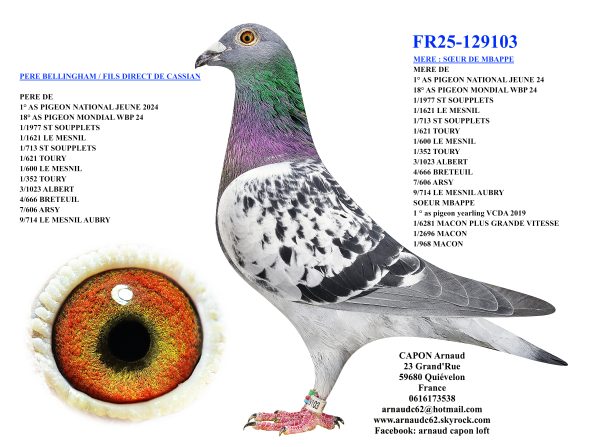 Fr25 129103