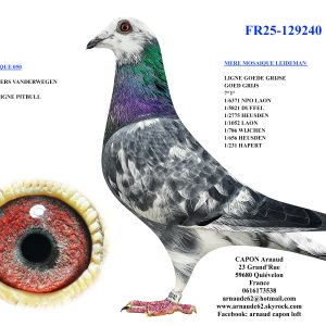 Fr25 129240