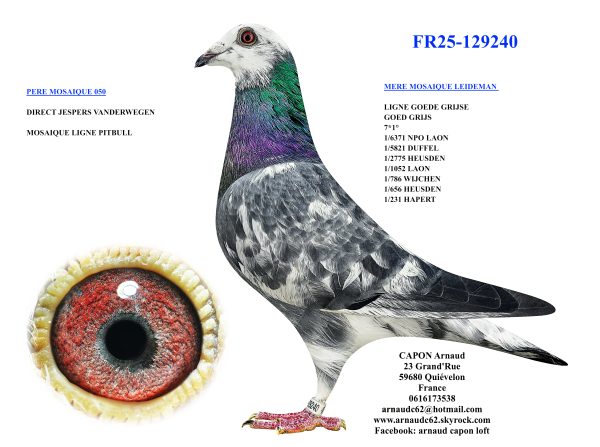 Fr25 129240