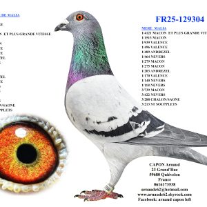 Fr25 129304