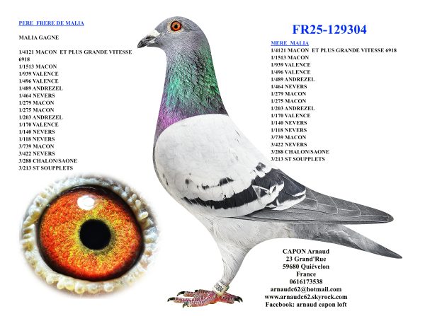 Fr25 129304