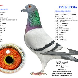 Fr25 129316