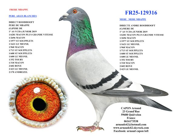 Fr25 129316