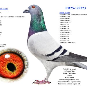 Fr25 129323