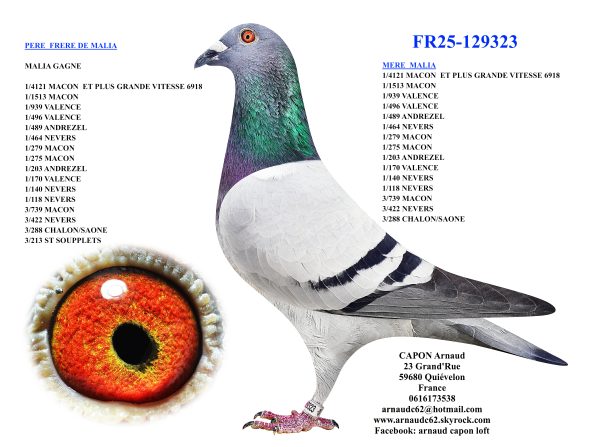 Fr25 129323