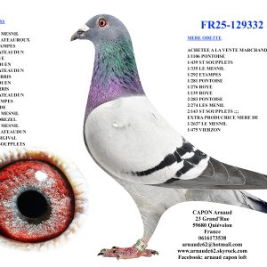 Fr25 129332