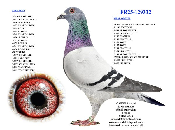 Fr25 129332