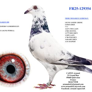 Fr25 129354