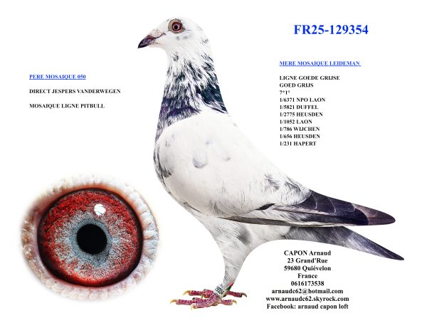 Fr25 129354