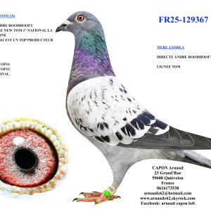 Fr25 129367