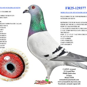 Fr25 129377