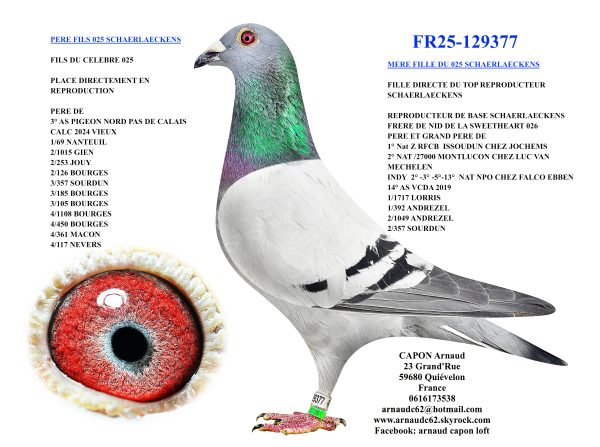 Fr25 129377