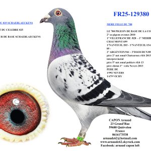 Fr25 129380