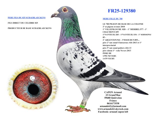 Fr25 129380
