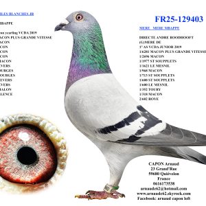 Fr25 129403