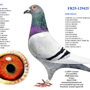 Fr25 129425