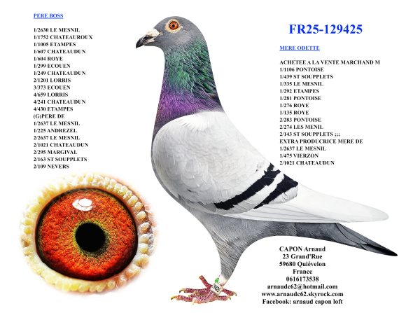 Fr25 129425