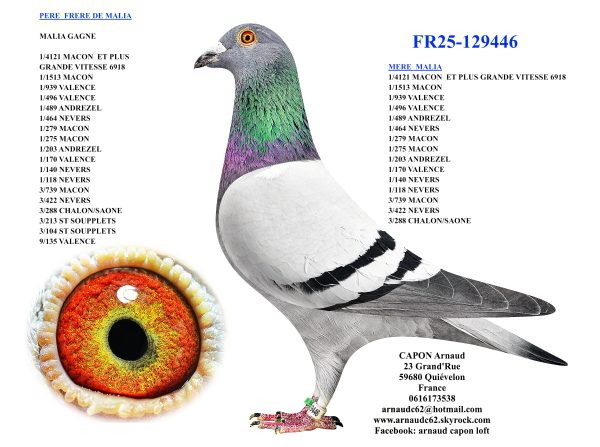 Fr25 129446
